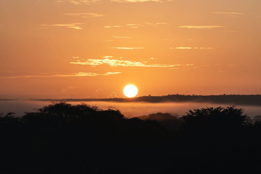 Amboseli National Park 1