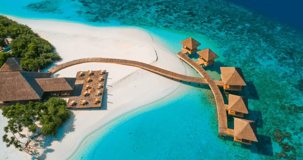 Kudafushi 1