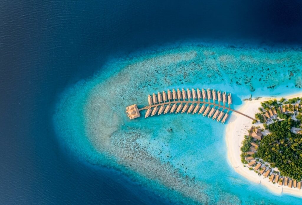 Kudafushi 8