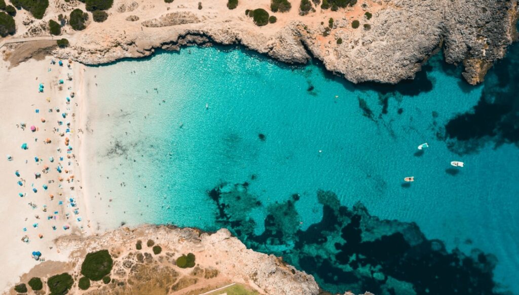 bravo minorca 1