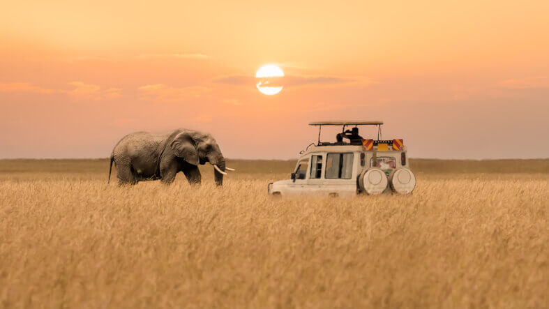 masai mara 1